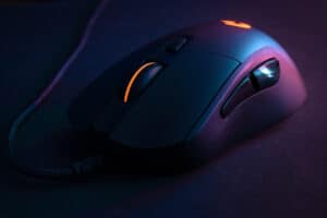 A mouse with contrasting light and colors