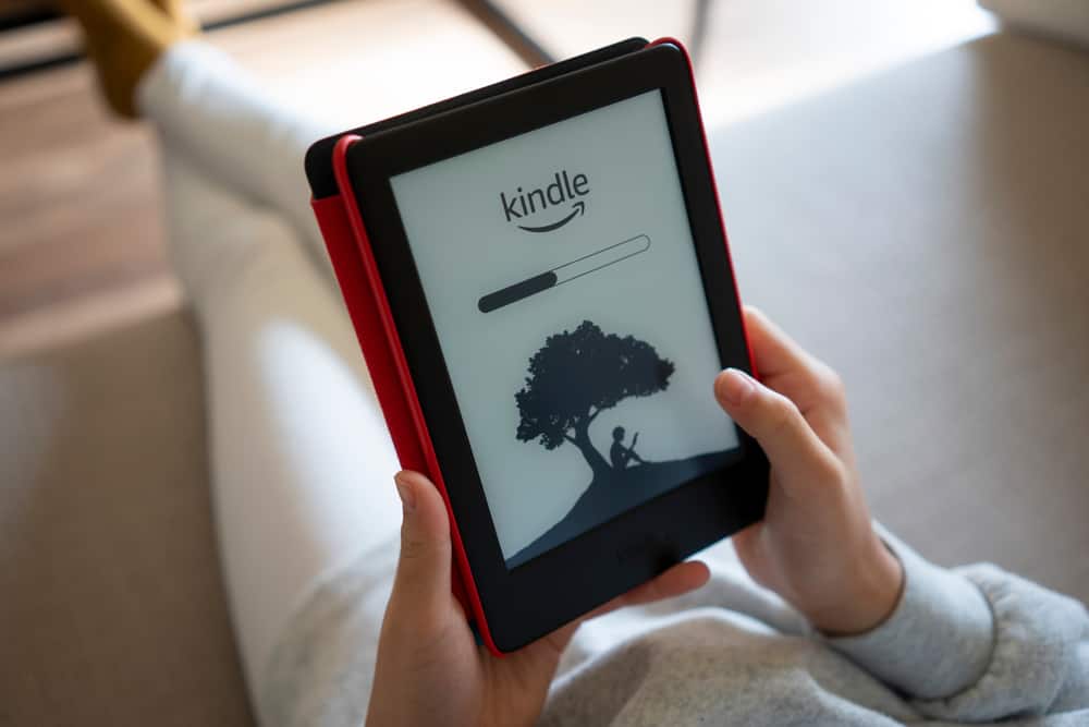 Kindle Reader