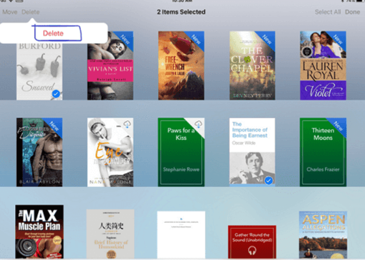 iPad books app